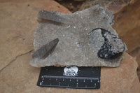 Natural Schorl Black Tourmaline Specimens  x 2 From Erongo Mountains, Namibia - TopRock