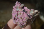 Natural Salrose Cobaltion Dolomite Specimens x 12 From Kakanda, Congo - Toprock Gemstones and Minerals 