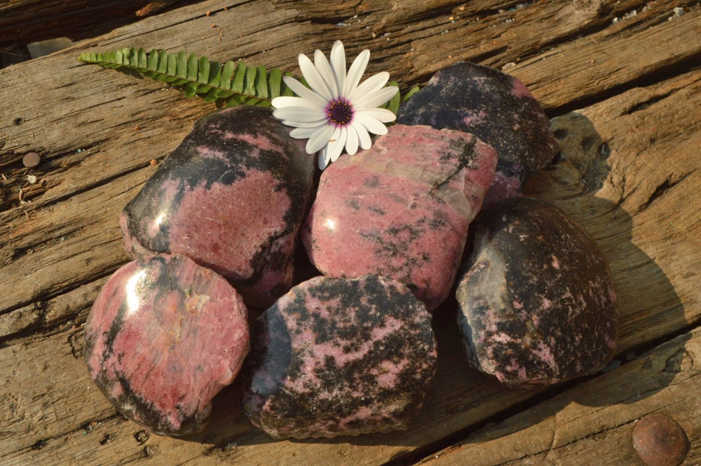 Polished Half Polished Pink & Black Rhodonite Pieces x 6 From Madagascar - TopRock