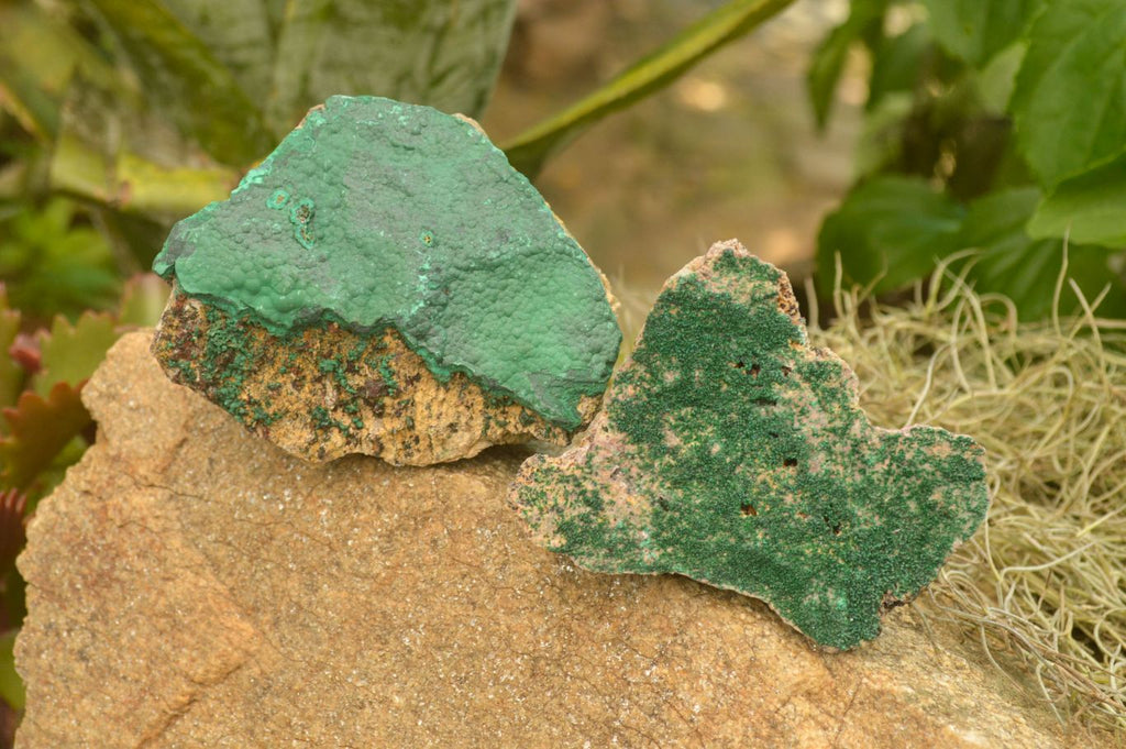 Natural Crystalline Malachite Specimens  x 6 From Tenke Fungurume, Congo - TopRock