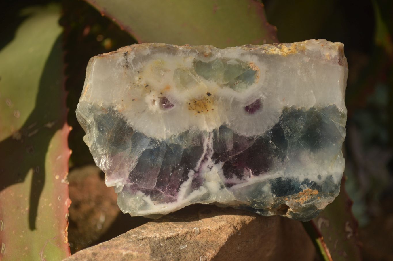Polished  One Side Polished Watermelon Fluorite Pieces  x 10 From Uis, Namibia - Toprock Gemstones and Minerals 