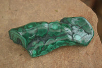 Polished Flower Malachite Free Forms  x 6 From Congo - Toprock Gemstones and Minerals 