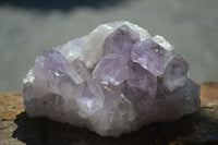 Natural Jacaranda Amethyst Clusters  x 3 From Mumbwa, Zambia - Toprock Gemstones and Minerals 
