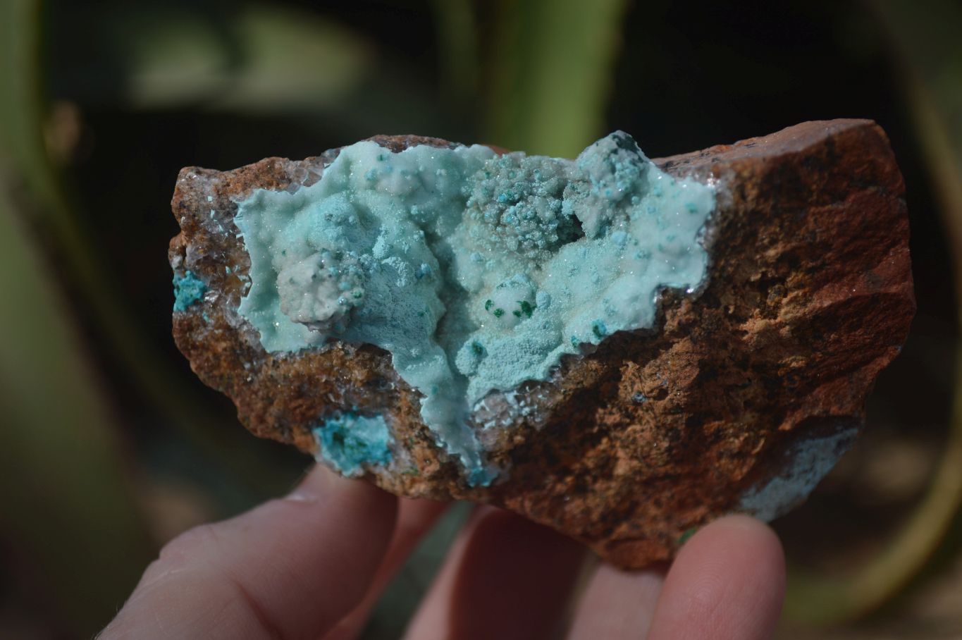 Natural Drusy Coated Chrysocolla & Malachite Specimens x 4 From Likasi, Congo - Toprock Gemstones and Minerals 