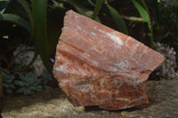 Natural New Giant Sunset Orange Calcite Specimens  x 1 From Spitzkop, Namibia - Toprock Gemstones and Minerals 