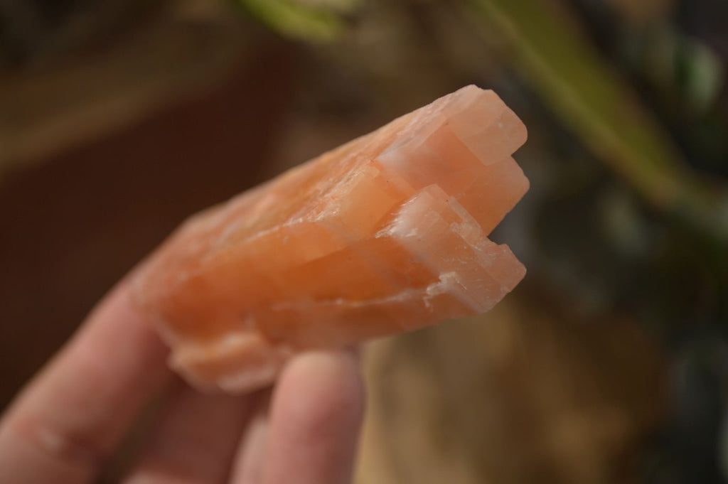 Natural New Sunset Orange Calcite Specimens  x 22 From Spitzkop, Namibia - Toprock Gemstones and Minerals 