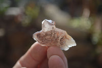 Natural Small Red Hematoid Quartz Crystals x 70 From Karoi, Zimbabwe - Toprock Gemstones and Minerals 