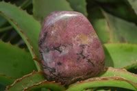 Polished Red Rhodonite Standing Free Forms x 3 From Zimbabwe - Toprock Gemstones and Minerals 