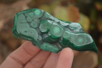 Polished Flower Malachite Free Forms  x 6 From Congo - Toprock Gemstones and Minerals 