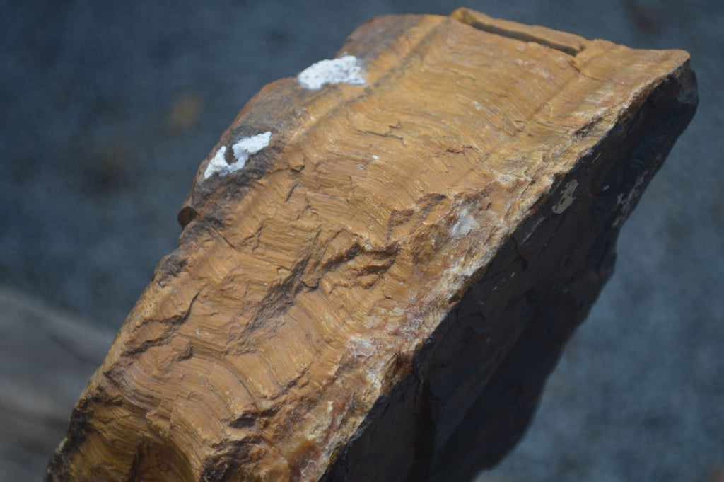 Natural Sliced Tigers Eye Specimen x 1 From Prieska, South Africa - Toprock Gemstones and Minerals 