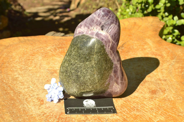 Polished Rare Angelite Anhydrite Standing Free Form x 1 From Tulear, Madagascar - TopRock
