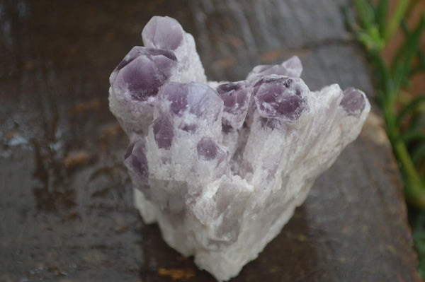 Natural Sugar Amethyst Clusters  x 6 From Solwezi, Zambia - Toprock Gemstones and Minerals 