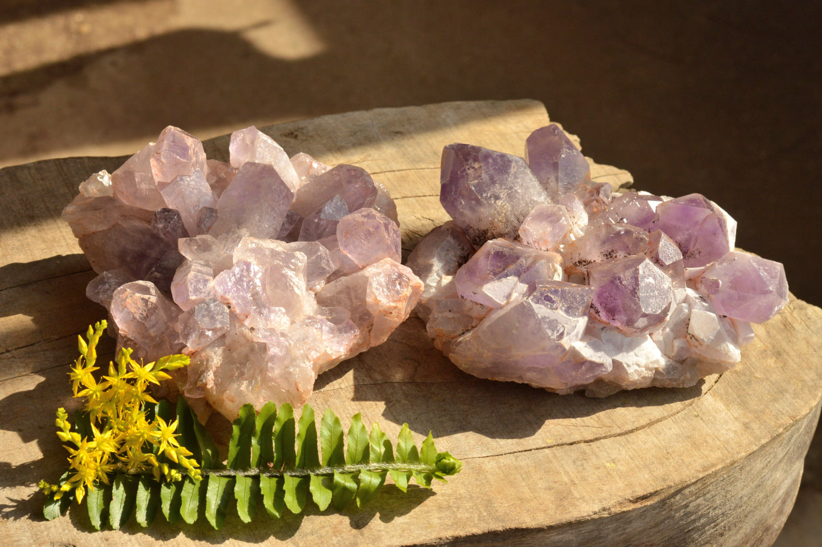 Natural Jacaranda Amethyst Quartz Clusters  x 2 From Mambwe, Zambia - TopRock