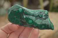 Polished Flower Malachite Free Forms  x 6 From Congo - Toprock Gemstones and Minerals 