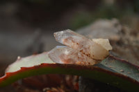 Natural Small Red Hematoid Quartz Crystals x 70 From Karoi, Zimbabwe - Toprock Gemstones and Minerals 