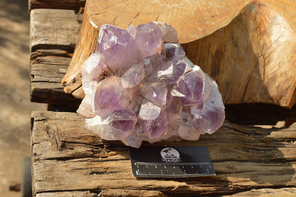 Natural Jacaranda Amethyst Quartz Clusters  x 2 From Mambwe, Zambia - TopRock