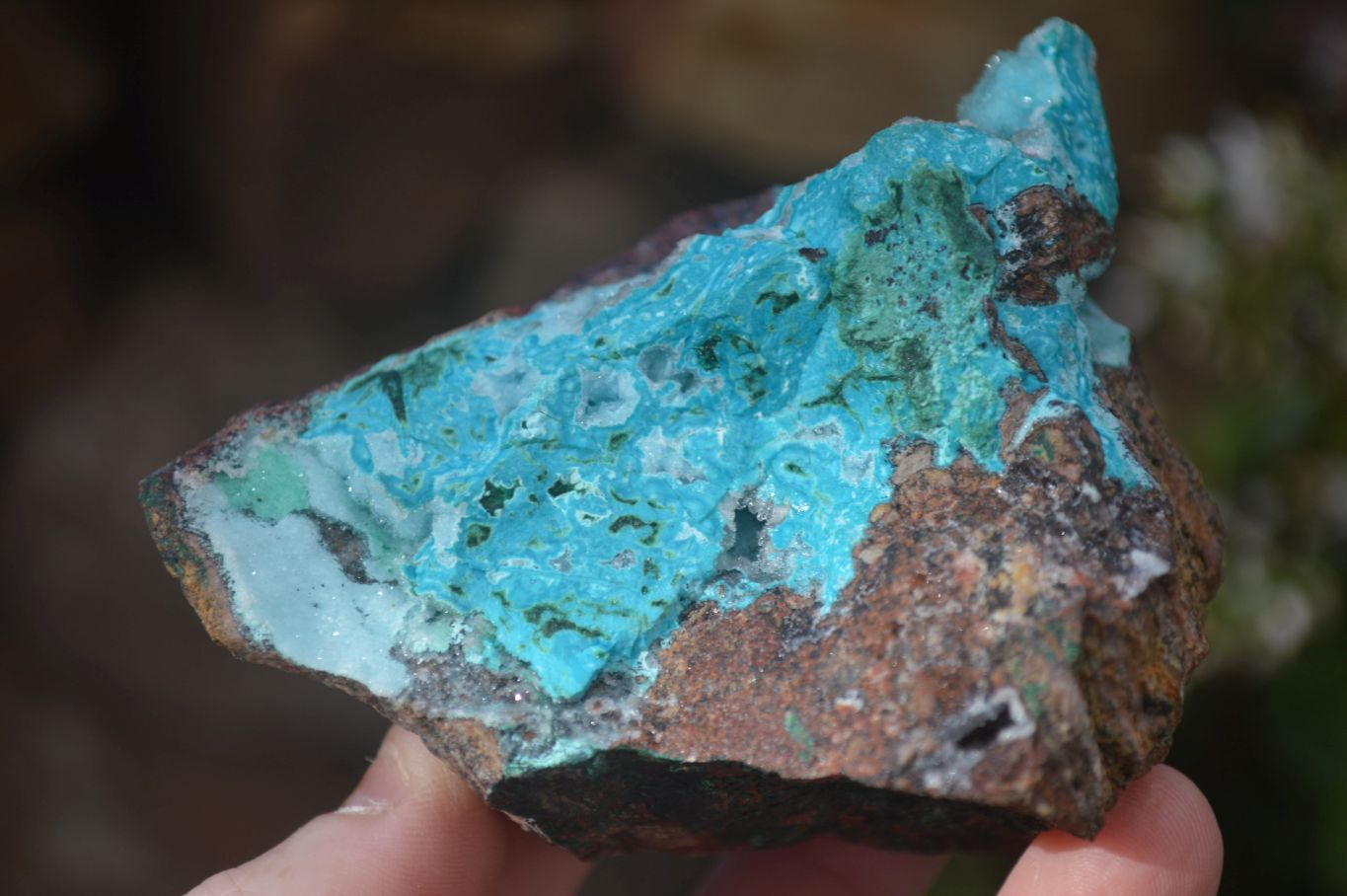 Natural Drusy Coated Chrysocolla & Malachite Specimens x 4 From Likasi, Congo - Toprock Gemstones and Minerals 