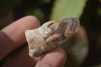 Natural Small Red Hematoid Quartz Crystals x 70 From Karoi, Zimbabwe - Toprock Gemstones and Minerals 