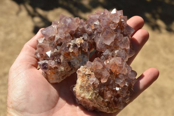 Natural Dark Amethyst Spirit Quartz Clusters With Nice Phantoms  x 9 From Boekenhouthoek, South Africa - TopRock