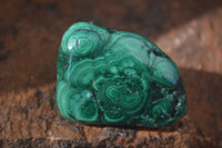 Polished Flower Banded Malachite Free Forms  x 12 From Congo - Toprock Gemstones and Minerals 