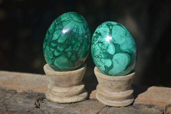 Polished Stunning Flower Banded Malachite Eggs  x 4 From Congo - Toprock Gemstones and Minerals 