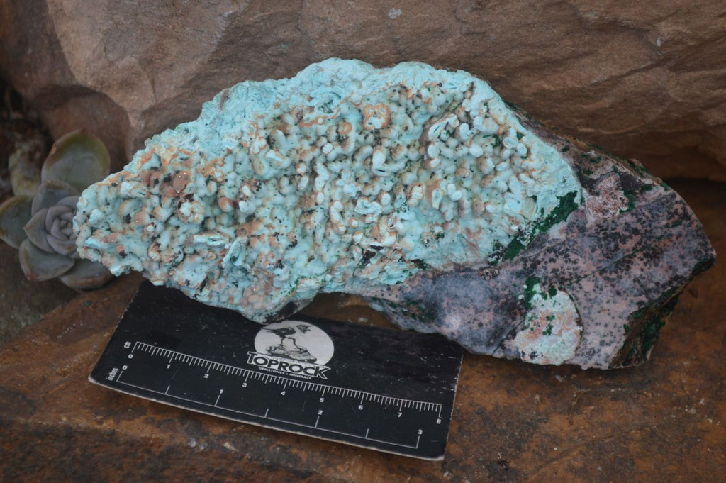 Natural Drusy Coated Chrysocolla & Malachite Specimens x 4 From Likasi, Congo - Toprock Gemstones and Minerals 