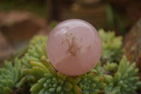 Polished Gemmy Pink Rose Quartz Spheres  x 6 From Ambatondrazaka, Madagascar - TopRock