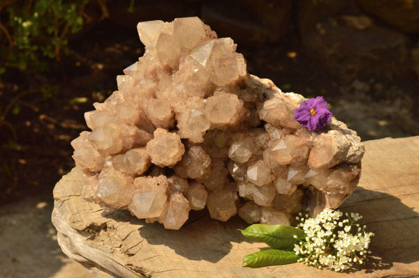 Natural Large Smokey White Phantom Quartz Cluster With Cascading Side Crystals  x 1 From Luena, Congo - TopRock