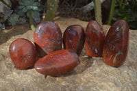 Polished Red Flame Jasper Standing Free Forms  x 6 From Madagascar - Toprock Gemstones and Minerals 