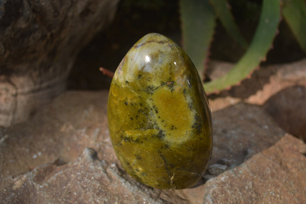 Polished Green Opal Standing Free Forms  x 3 From Antsirabe, Madagascar - Toprock Gemstones and Minerals 