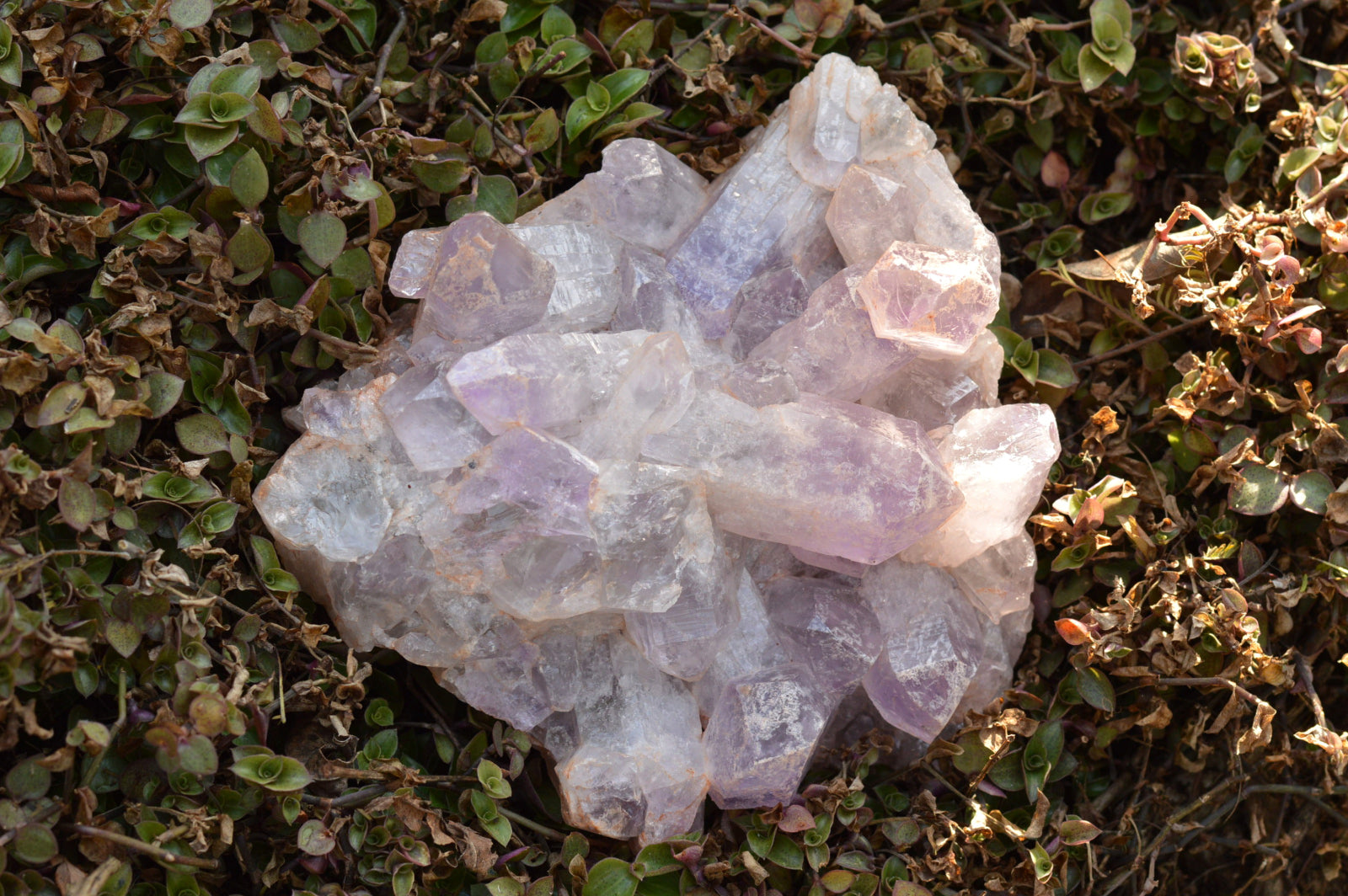 Natural Jacaranda Amethyst Quartz Clusters  x 2 From Mambwe, Zambia - TopRock