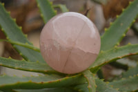 Polished Gemmy Pink Rose Quartz Spheres  x 6 From Ambatondrazaka, Madagascar - TopRock