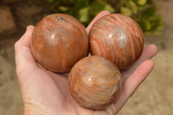 Polished Chatoyant Peach / Salmon Moonstone Spheres  x 4 From Madagascar - TopRock