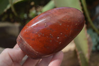 Polished Red Flame Jasper Standing Free Forms  x 6 From Madagascar - Toprock Gemstones and Minerals 