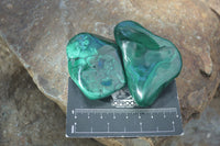 Polished Flower Banded Malachite Free Forms  x 12 From Congo - Toprock Gemstones and Minerals 