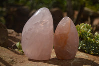 Polished Pink Rose Quartz Standing Free Forms x 2 From Ambatondrazaka, Madagascar - TopRock