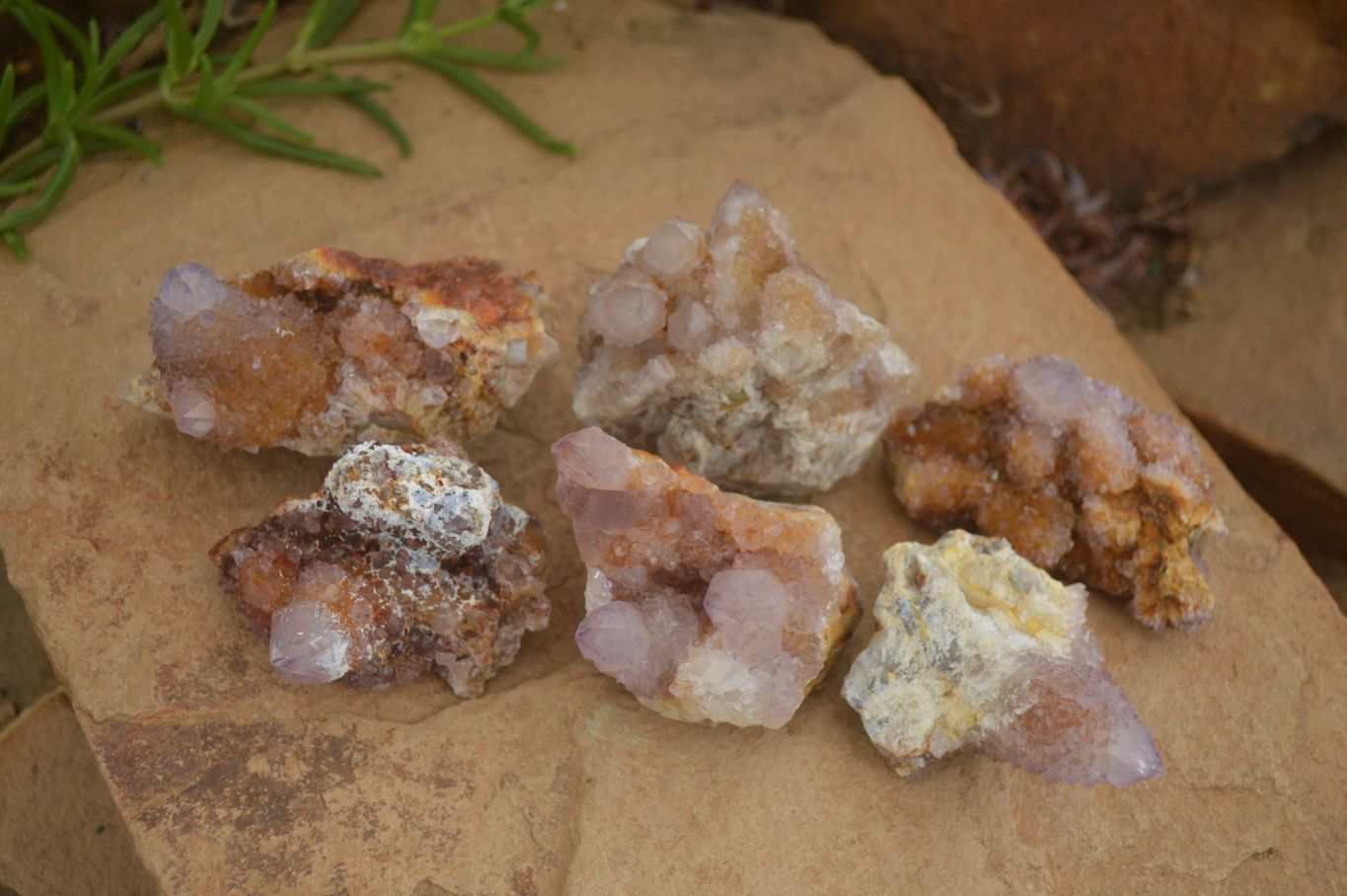 Natural Rare Spirit Ametrine Quartz Specimens  x 6 From Boekenhouthoek, South Africa - Toprock Gemstones and Minerals 