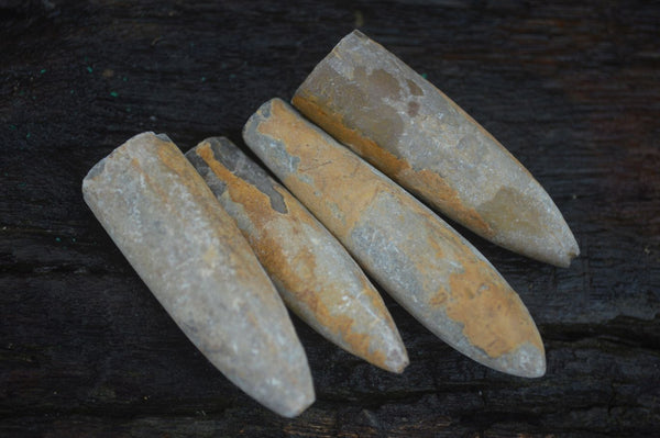 Natural Rare Malagasy Belemnite Fossils  x 35 From Maintirano, Madagascar - Toprock Gemstones and Minerals 