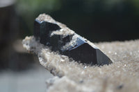 Natural Schorl Black Tourmaline Specimens  x 2 From Erongo Mountains, Namibia - TopRock
