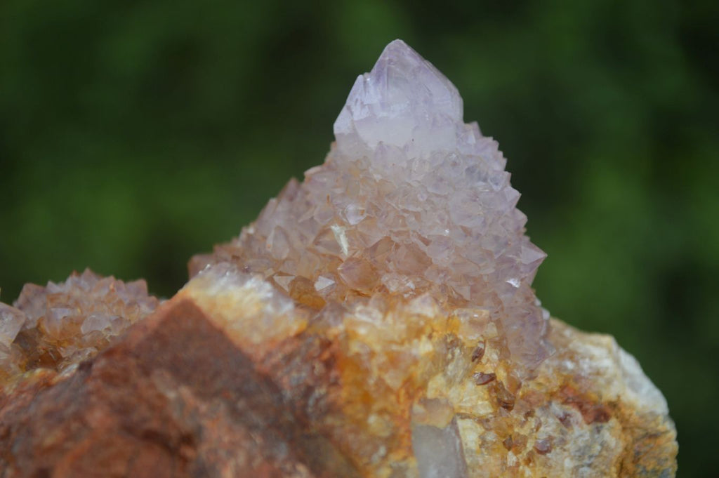 Natural Rare Spirit Ametrine Quartz Specimens  x 6 From Boekenhouthoek, South Africa - Toprock Gemstones and Minerals 