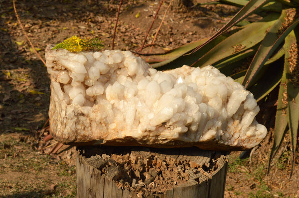 Natural Giant White Pineapple Quartz Cluster  x 1 From Ankazobe, Madagascar - TopRock