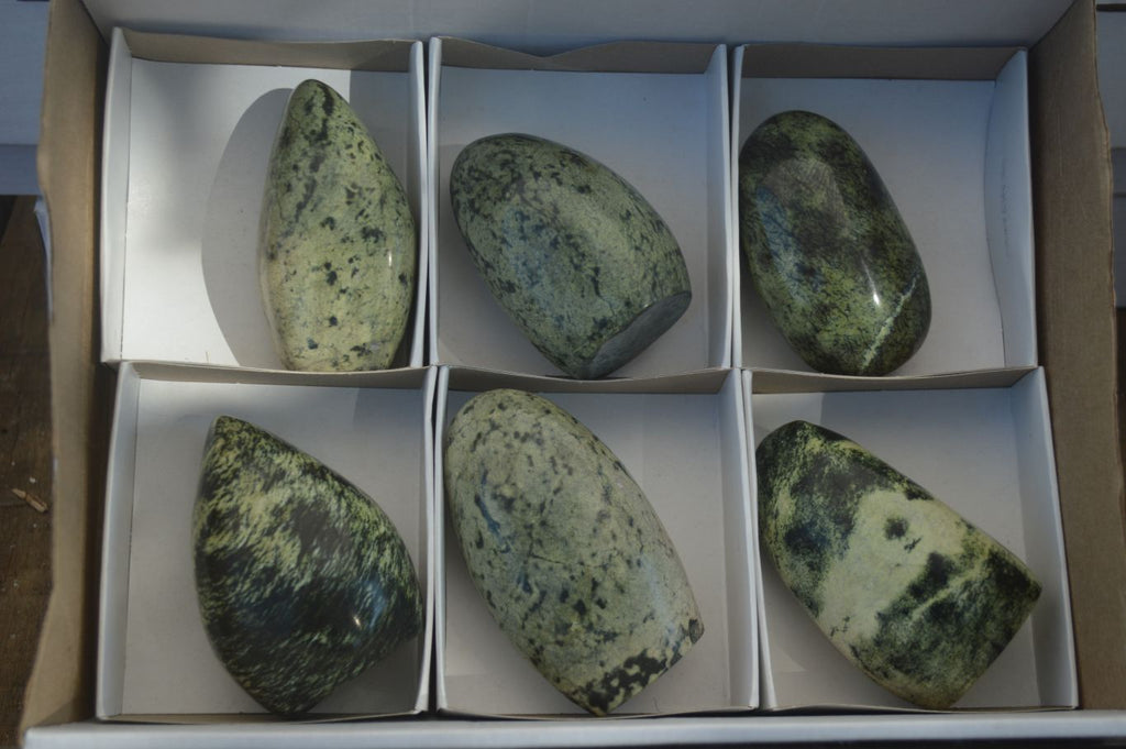 Polished Leopard Stone Standing Free Forms x 6 From Zimbabwe - Toprock Gemstones and Minerals 