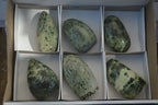 Polished Leopard Stone Standing Free Forms x 6 From Zimbabwe - Toprock Gemstones and Minerals 