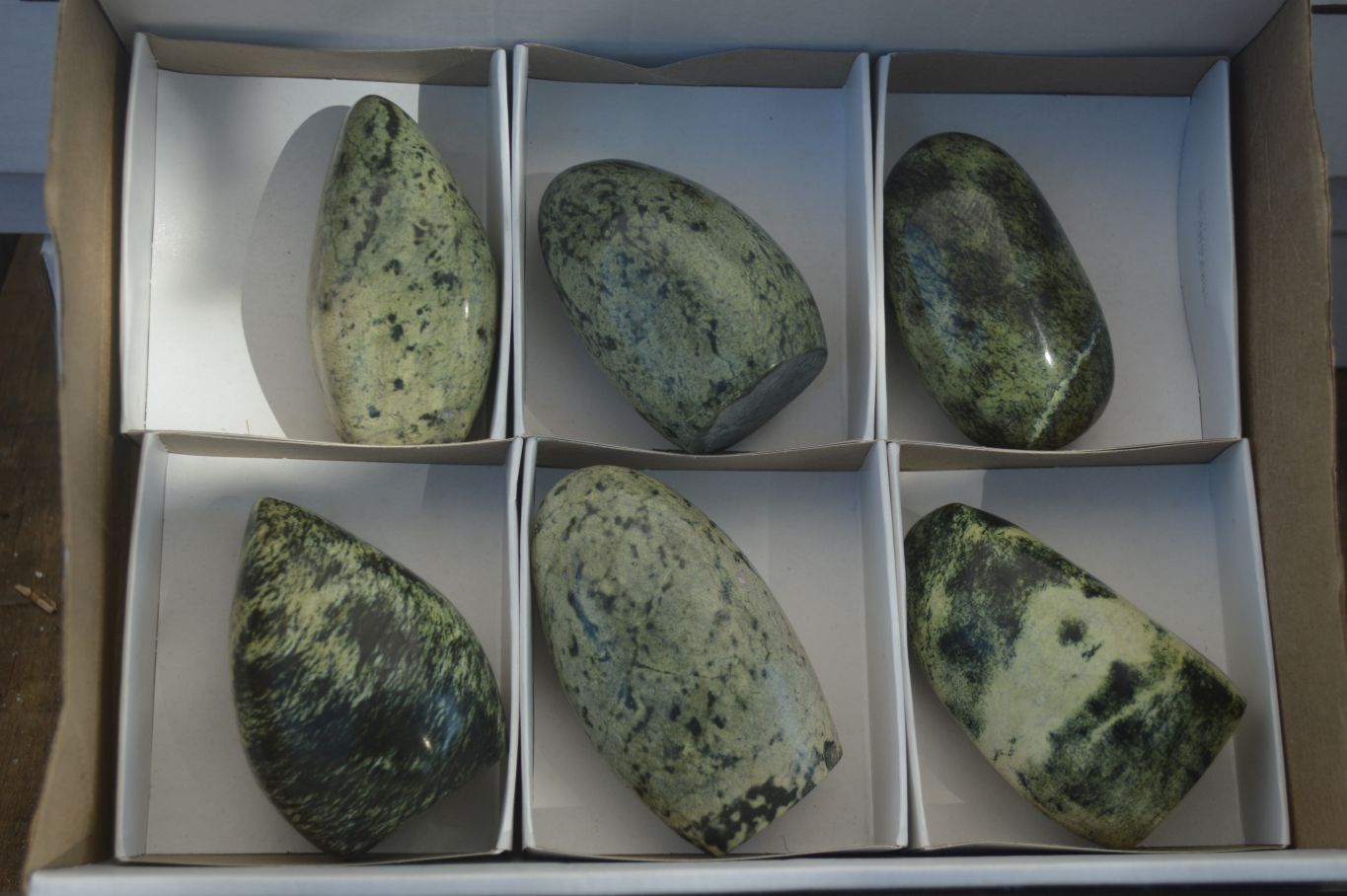 Polished Leopard Stone Standing Free Forms x 6 From Zimbabwe - Toprock Gemstones and Minerals 
