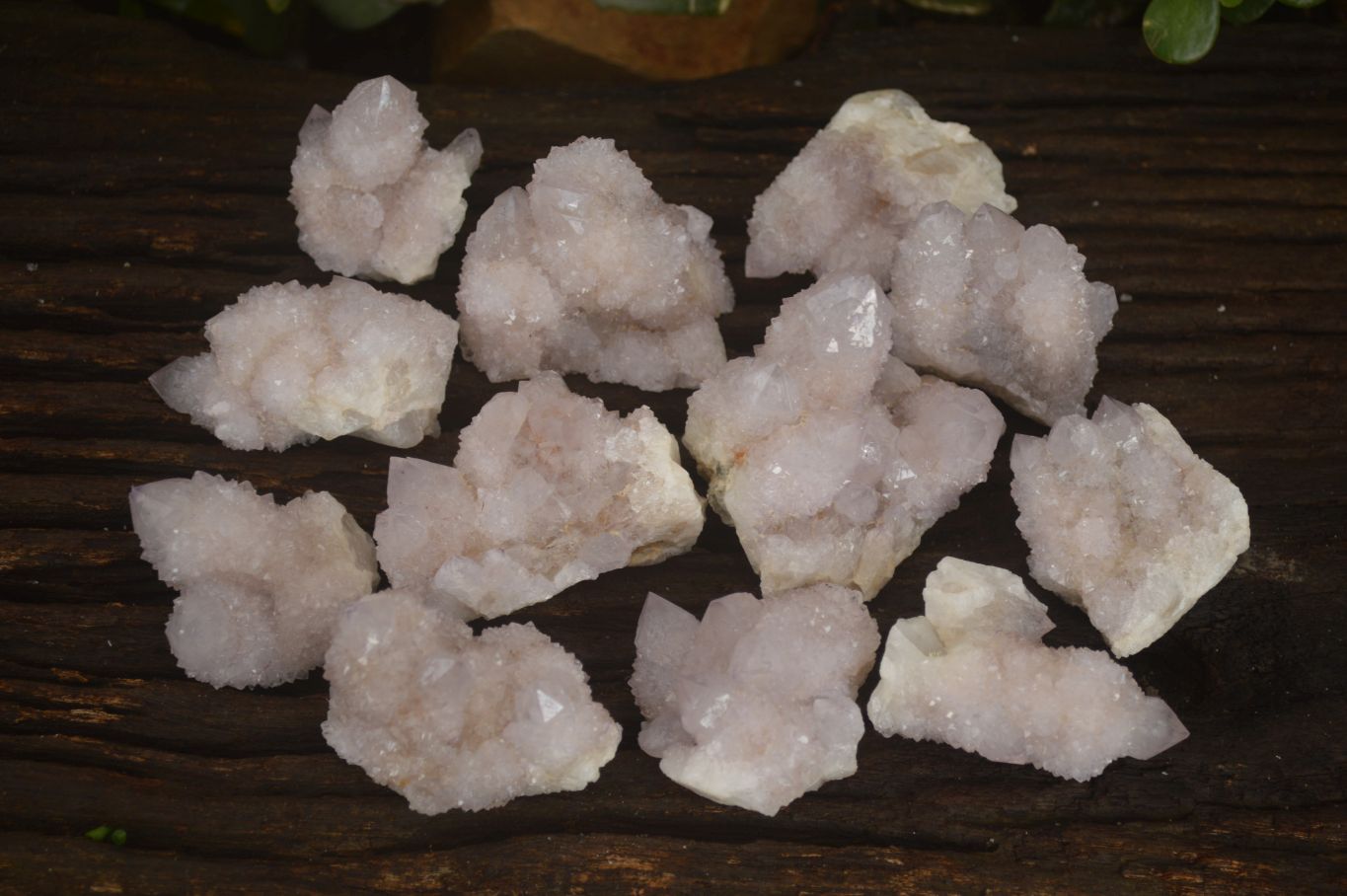 Natural Pale Lilac Spirit Quartz Clusters x 12 From Boekenhouthoek, South Africa - Toprock Gemstones and Minerals 
