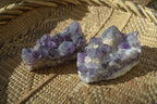 Natural Dark Amethyst Crystal Clusters x 12 From Zambia - Toprock Gemstones and Minerals 