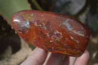 Polished Red Flame Jasper Standing Free Forms  x 6 From Madagascar - Toprock Gemstones and Minerals 