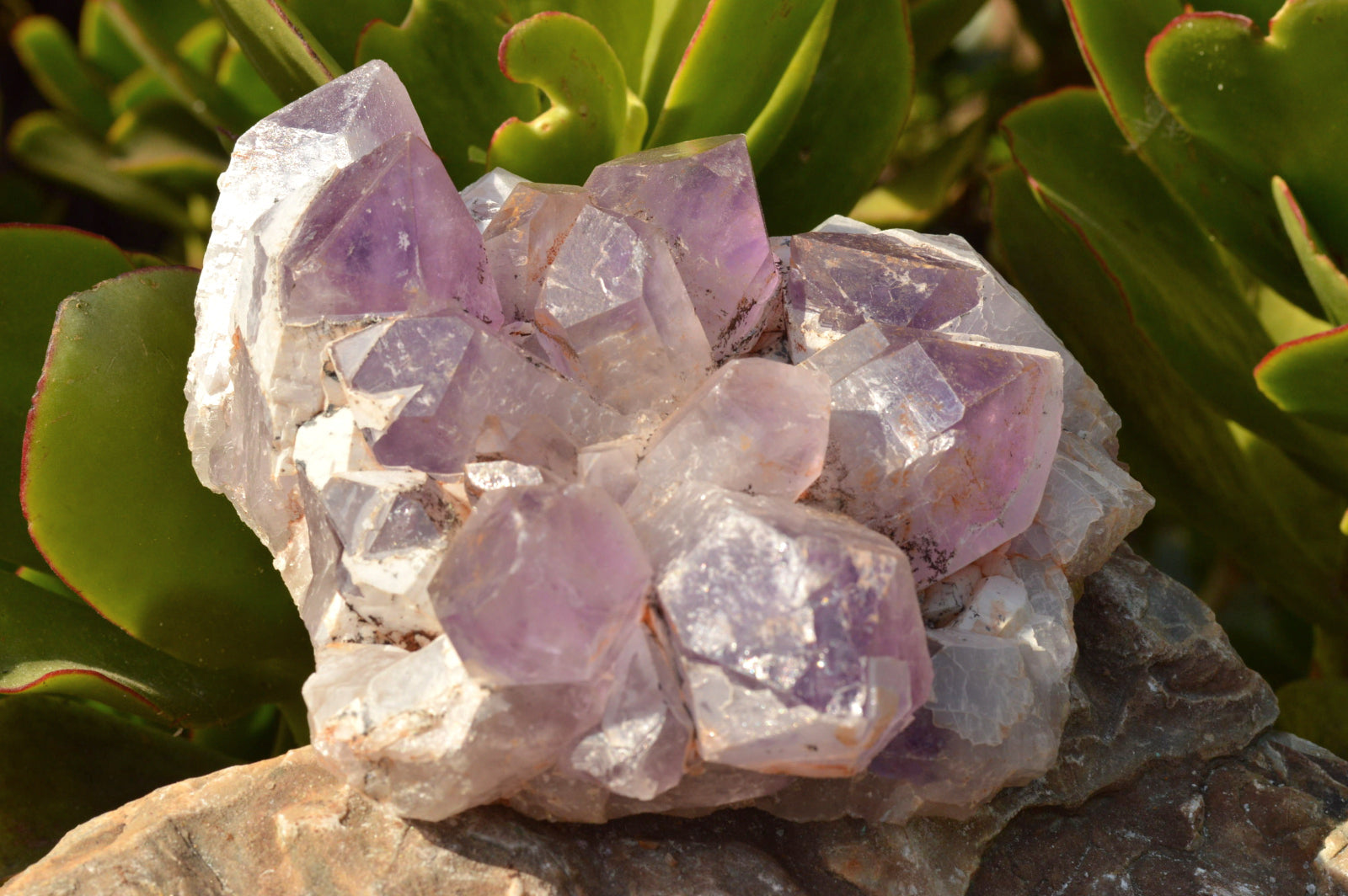 Natural Jacaranda Amethyst Quartz Clusters  x 2 From Mambwe, Zambia - TopRock