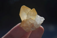 Natural Mini Golden Limonite / Lemonite Quartz Specimens  x 61 From Zambia - Toprock Gemstones and Minerals 