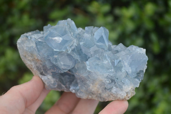 Natural Blue Celestite Crystal Specimens  x 3 From Sakoany, Madagascar - Toprock Gemstones and Minerals 